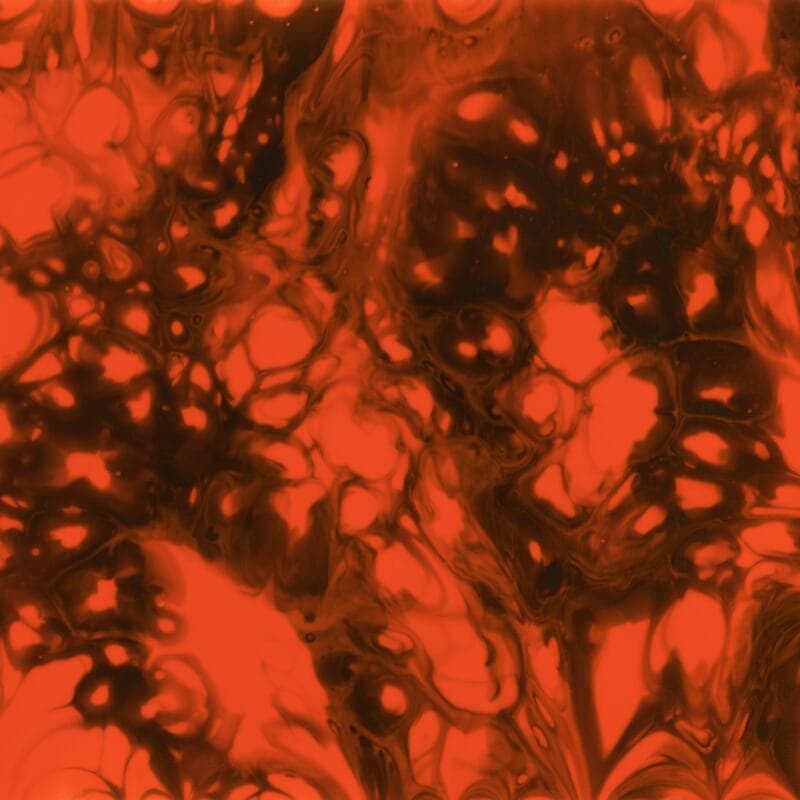 #43