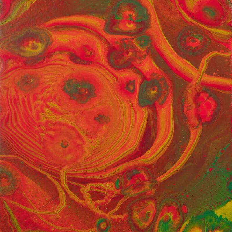#79